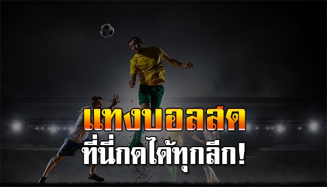 บอล เต็งเว็บตรง